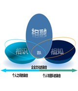 新員工的勝任力培養(yǎng)計劃-特別推薦
